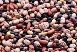 vegan, kidney beans