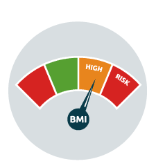 BMI result dial